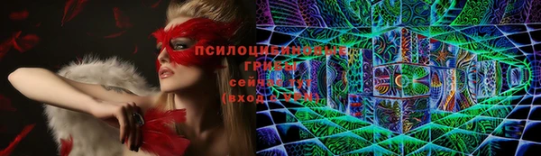 дживик Балахна