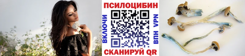 даркнет сайт  Билибино  Псилоцибиновые грибы прущие грибы 